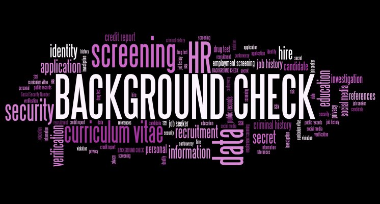 peoplelooker background check service pricing